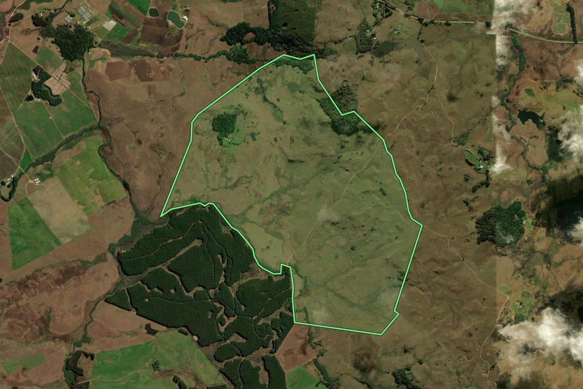 Imagem de satélite do imóvel rural em São Francisco de Paula (RS), com o contorno declarado no CAR desenhado por cima.