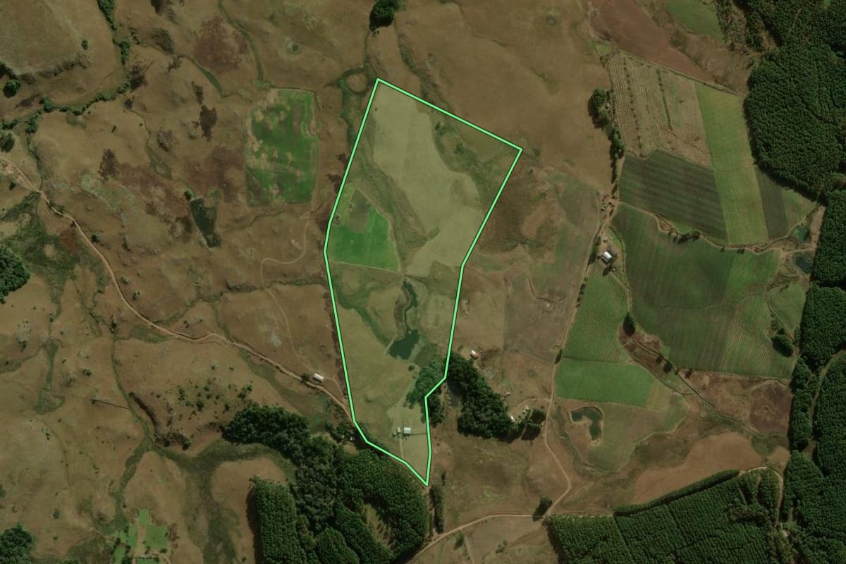 Imagem de satélite do imóvel rural em São Francisco de Paula (RS), com o contorno declarado no CAR desenhado por cima.
