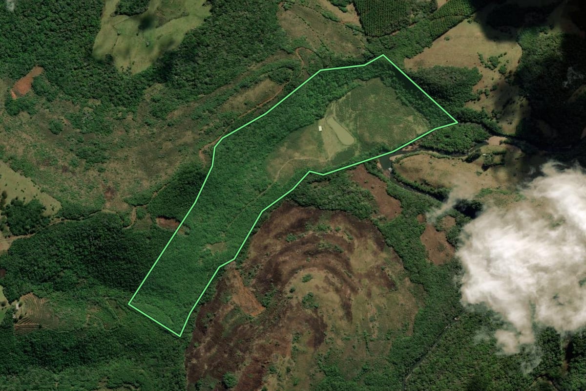 Imagem de satélite do imóvel rural em São Francisco de Paula (RS), com o contorno declarado no CAR desenhado por cima.