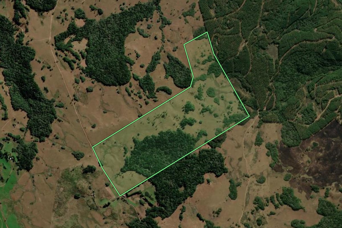 Imagem de satélite do imóvel rural em São Francisco de Paula (RS), com o contorno declarado no CAR desenhado por cima.