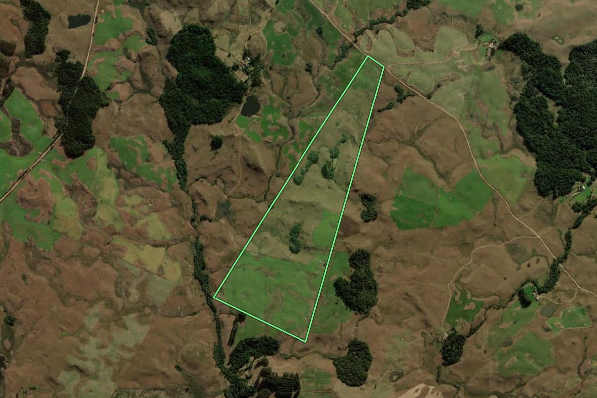 Imagem de satélite do imóvel rural em São Francisco de Paula (RS), com o contorno declarado no CAR desenhado por cima.