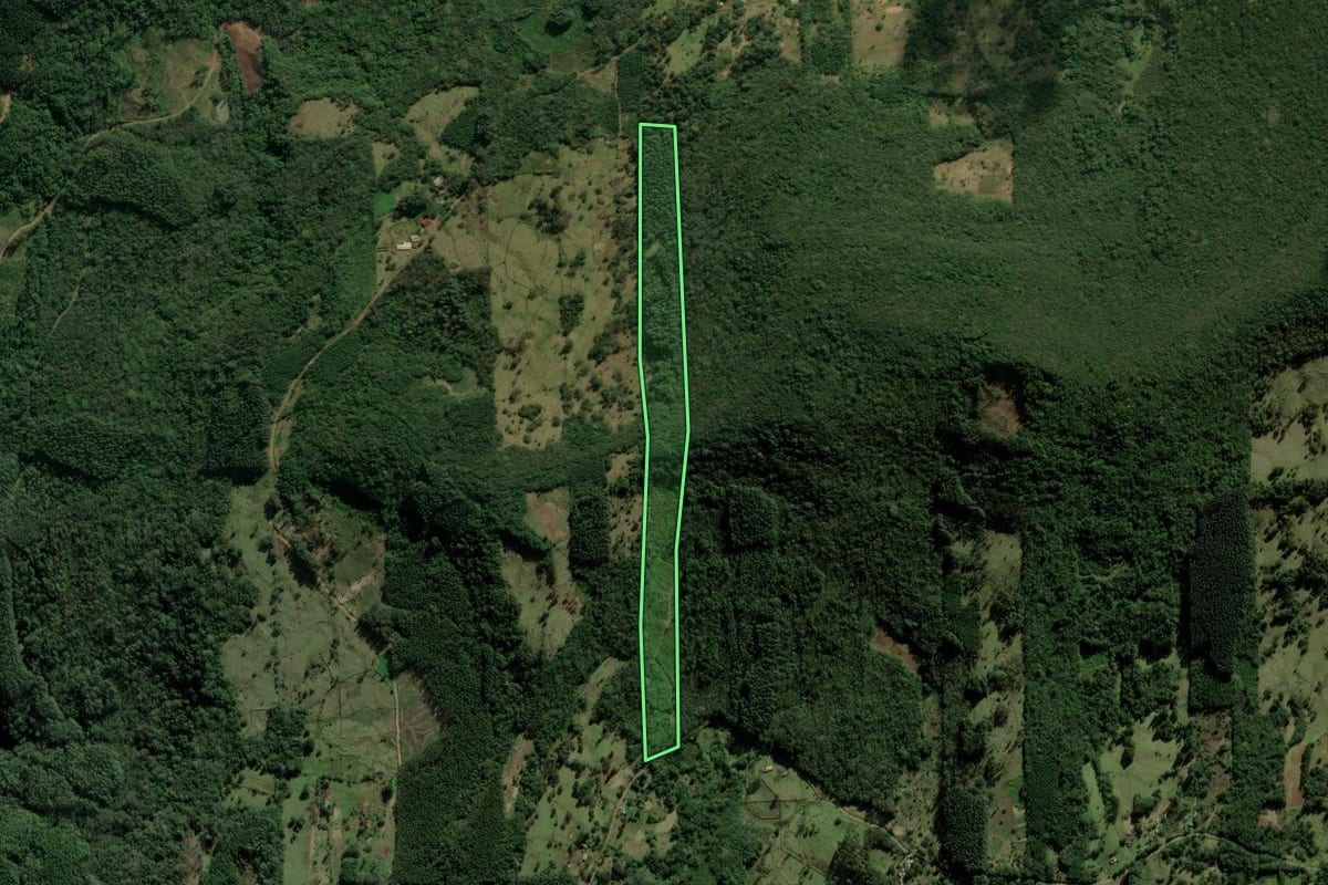 Imagem de satélite do imóvel rural em São Francisco de Paula (RS), com o contorno declarado no CAR desenhado por cima.