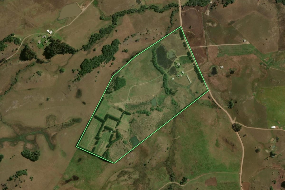 Imagem de satélite do imóvel rural em São Francisco de Paula (RS), com o contorno declarado no CAR desenhado por cima.