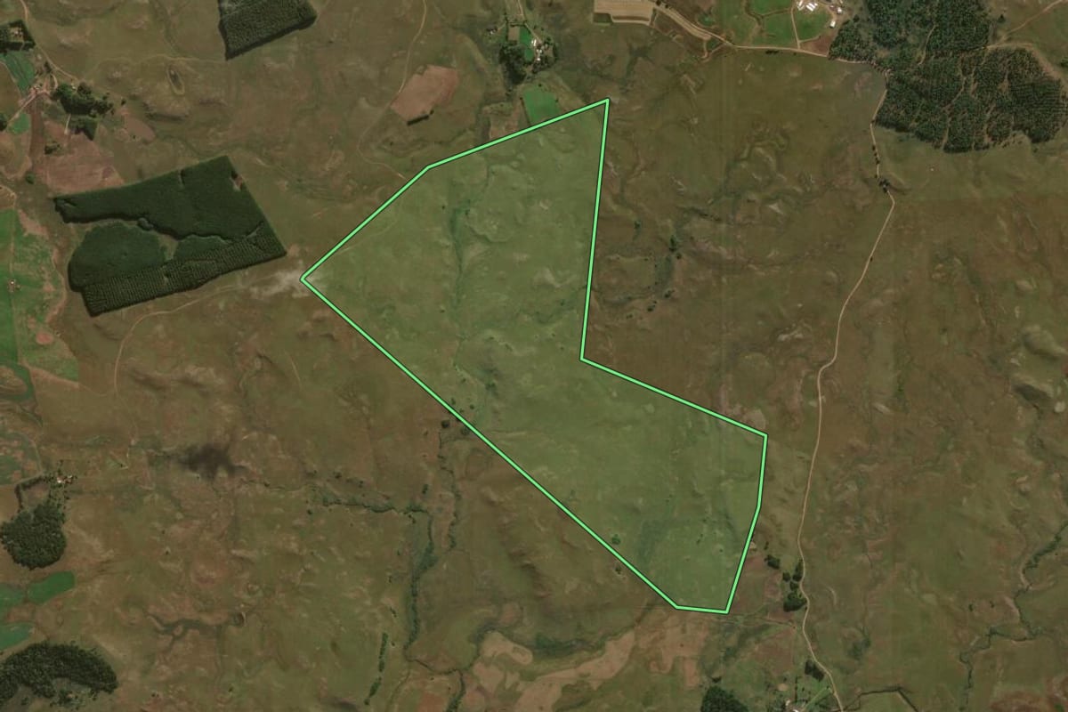 Imagem de satélite do imóvel rural em São Francisco de Paula (RS), com o contorno declarado no CAR desenhado por cima.
