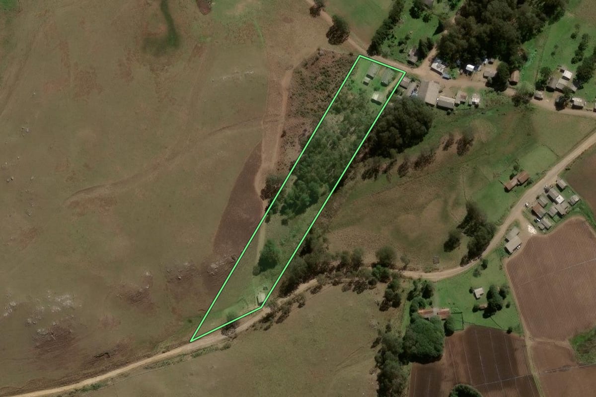 Imagem de satélite do imóvel rural em São Francisco de Paula (RS), com o contorno declarado no CAR desenhado por cima.