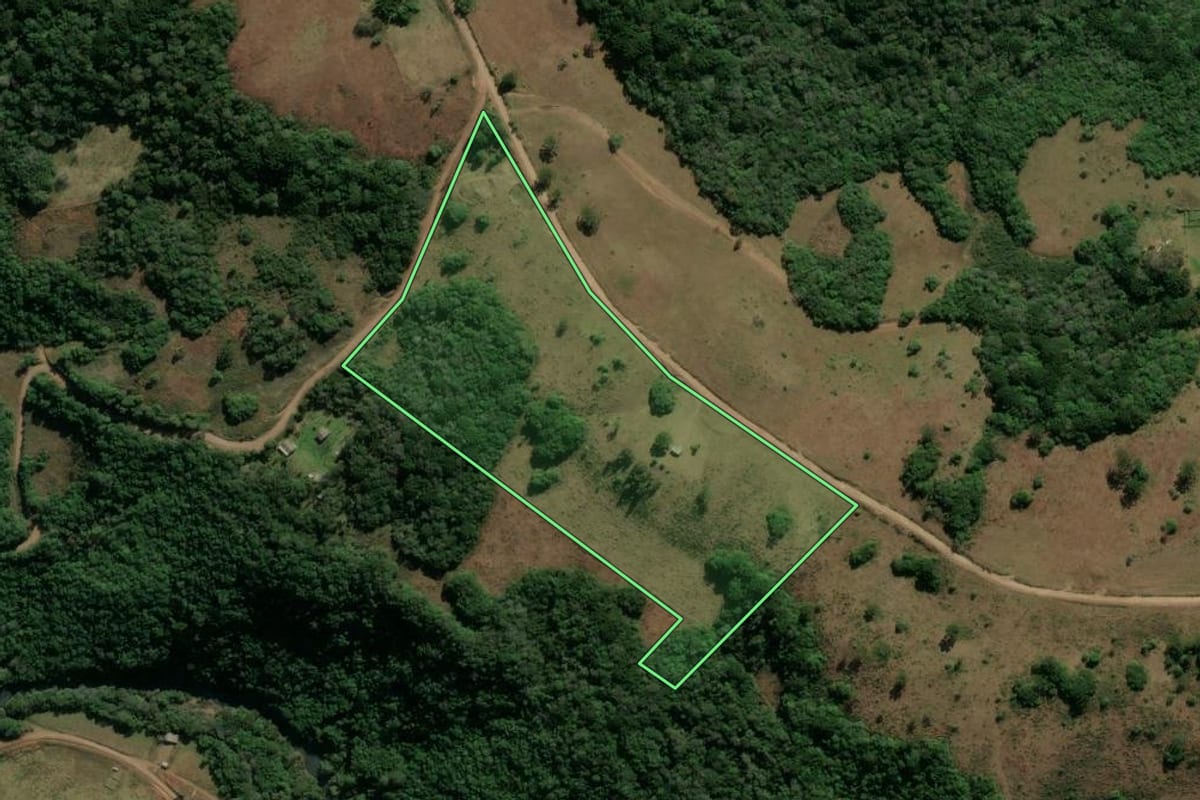 Imagem de satélite do imóvel rural em São Francisco de Paula (RS), com o contorno declarado no CAR desenhado por cima.