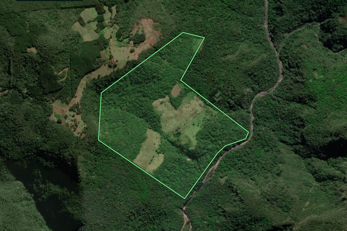 Imagem de satélite do imóvel rural em São Francisco de Paula (RS), com o contorno declarado no CAR desenhado por cima.