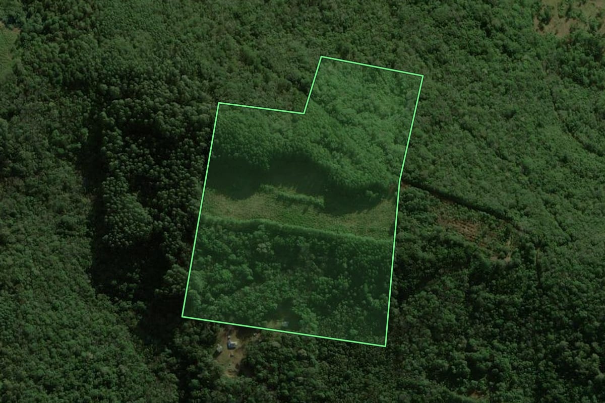 Imagem de satélite do imóvel rural em São Francisco de Paula (RS), com o contorno declarado no CAR desenhado por cima.