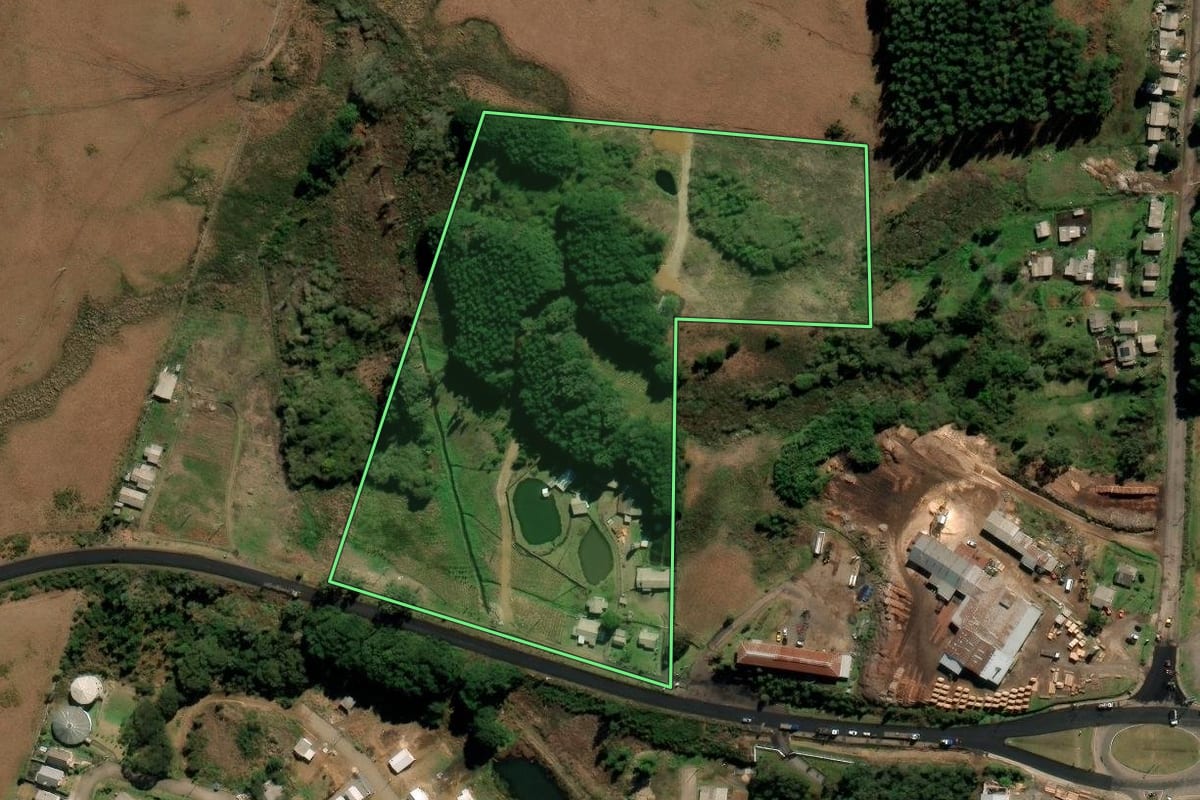 Imagem de satélite do imóvel rural em São Francisco de Paula (RS), com o contorno declarado no CAR desenhado por cima.