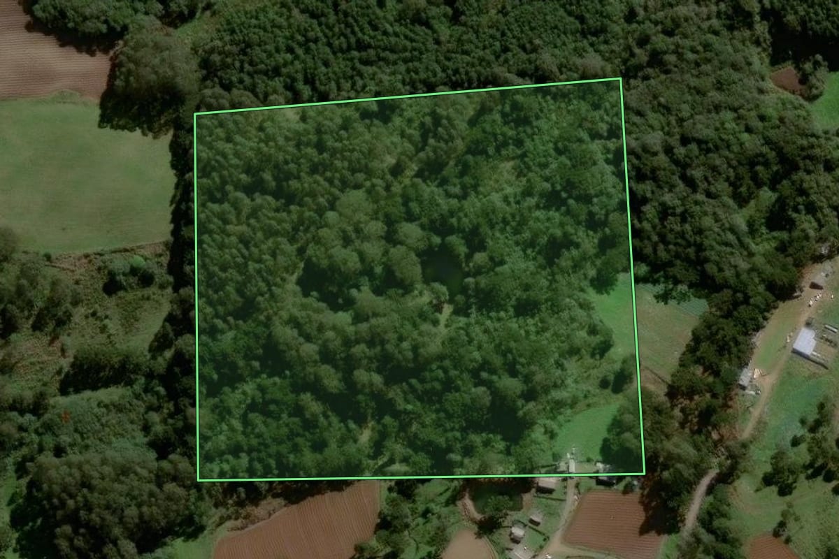 Imagem de satélite do imóvel rural em São Francisco de Paula (RS), com o contorno declarado no CAR desenhado por cima.