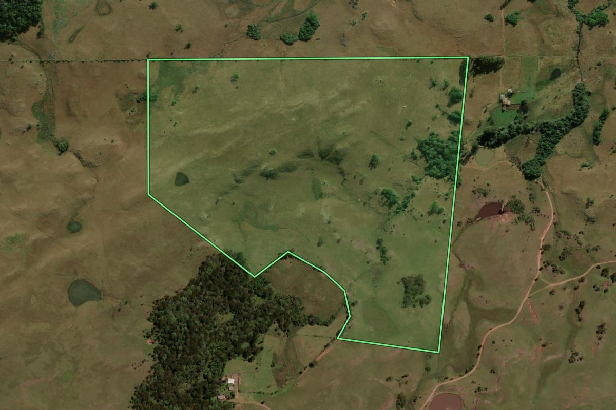 Imagem de satélite do imóvel rural em São Francisco de Paula (RS), com o contorno declarado no CAR desenhado por cima.