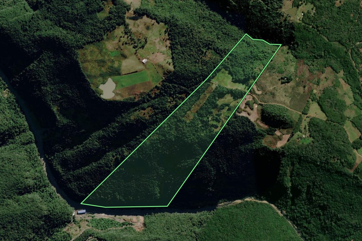 Imagem de satélite do imóvel rural em São Francisco de Paula (RS), com o contorno declarado no CAR desenhado por cima.