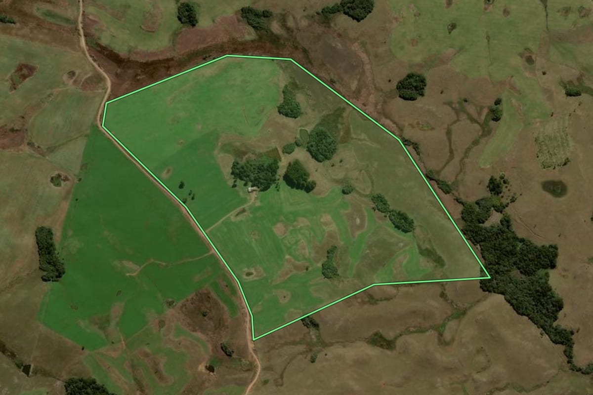 Imagem de satélite do imóvel rural em São Francisco de Paula (RS), com o contorno declarado no CAR desenhado por cima.