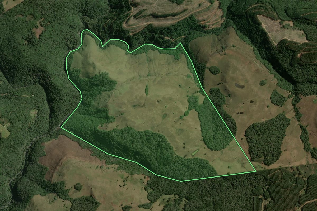 Imagem de satélite do imóvel rural em São Francisco de Paula (RS), com o contorno declarado no CAR desenhado por cima.