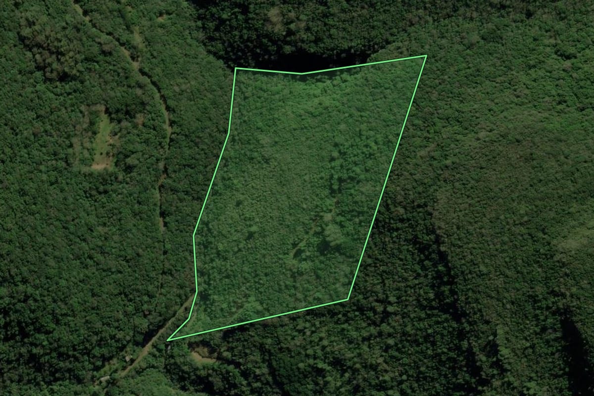 Imagem de satélite do imóvel rural em São Francisco de Paula (RS), com o contorno declarado no CAR desenhado por cima.