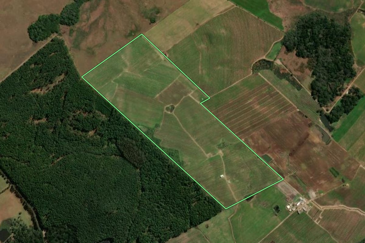 Imagem de satélite do imóvel rural em São Francisco de Paula (RS), com o contorno declarado no CAR desenhado por cima.