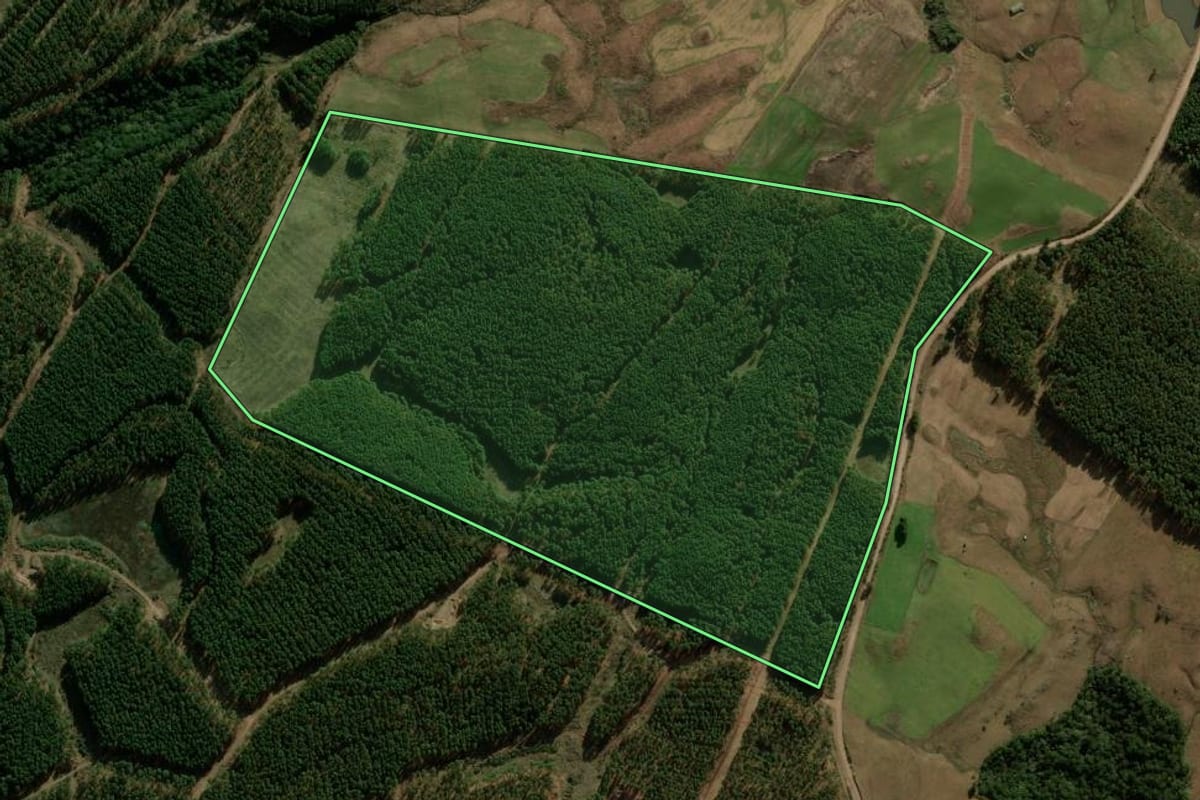 Imagem de satélite do imóvel rural em São Francisco de Paula (RS), com o contorno declarado no CAR desenhado por cima.