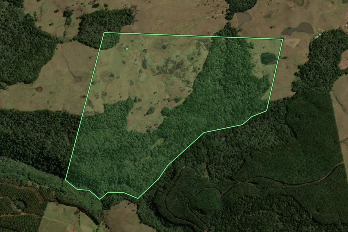 Imagem de satélite do imóvel rural em São Francisco de Paula (RS), com o contorno declarado no CAR desenhado por cima.