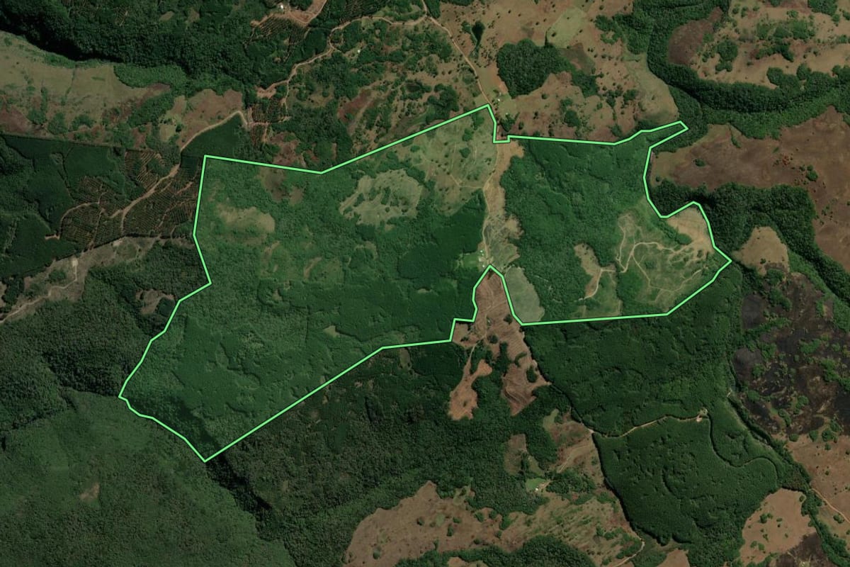 Imagem de satélite do imóvel rural em São Francisco de Paula (RS), com o contorno declarado no CAR desenhado por cima.