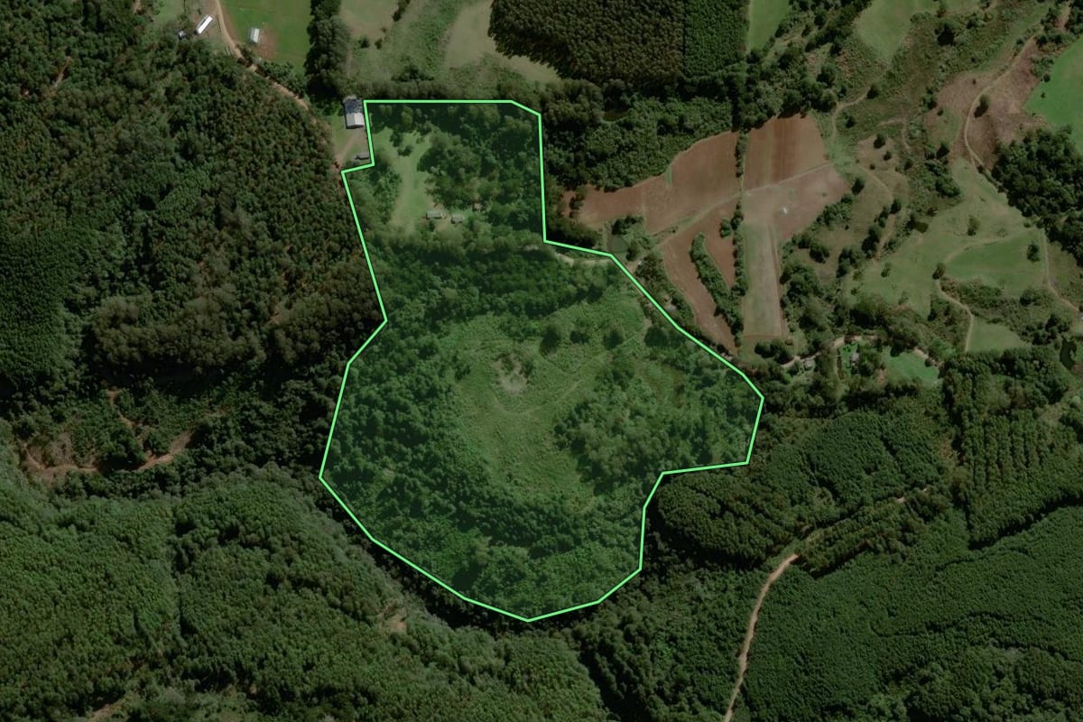 Imagem de satélite do imóvel rural em São Francisco de Paula (RS), com o contorno declarado no CAR desenhado por cima.