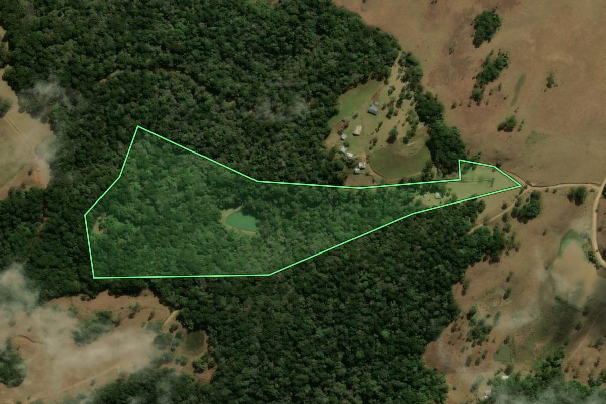 Imagem de satélite do imóvel rural em São Francisco de Paula (RS), com o contorno declarado no CAR desenhado por cima.
