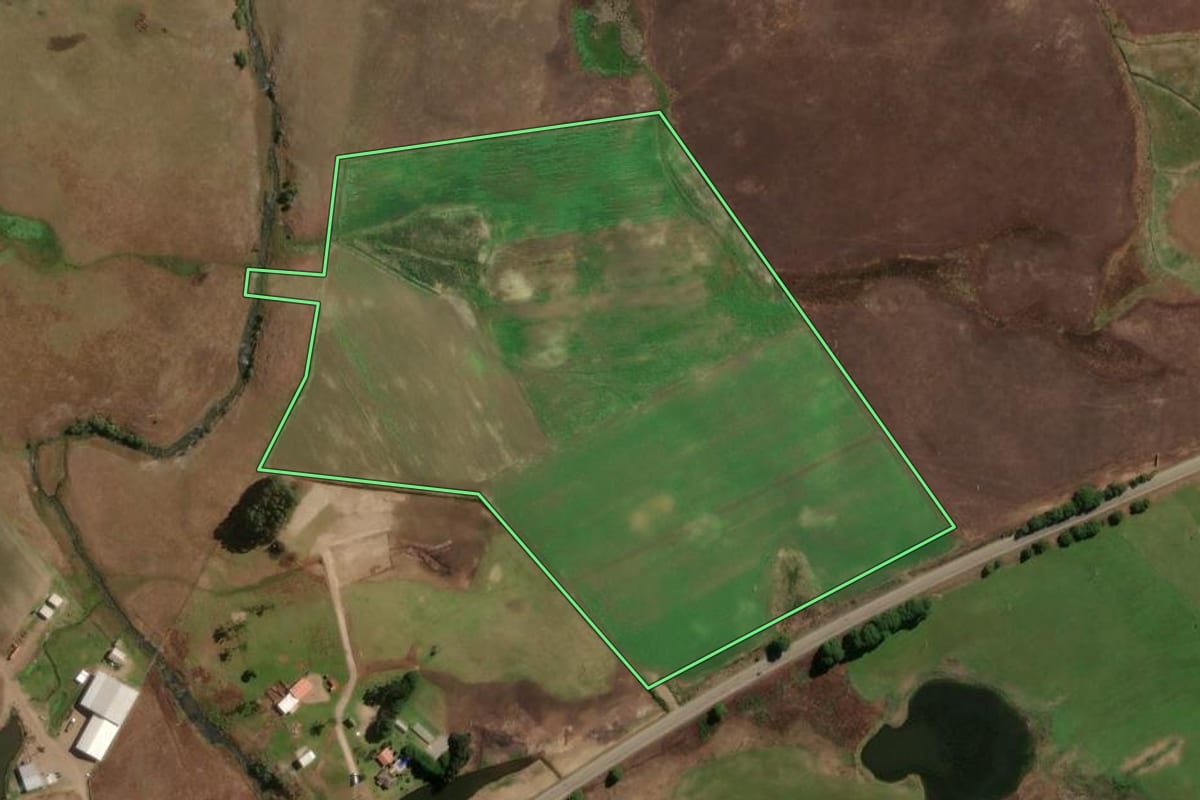 Imagem de satélite do imóvel rural em São Francisco de Paula (RS), com o contorno declarado no CAR desenhado por cima.