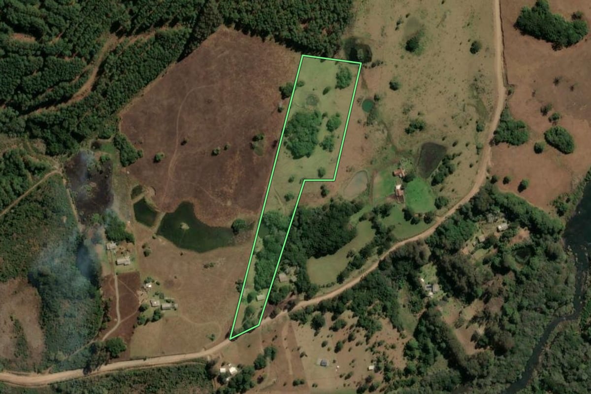 Imagem de satélite do imóvel rural em São Francisco de Paula (RS), com o contorno declarado no CAR desenhado por cima.
