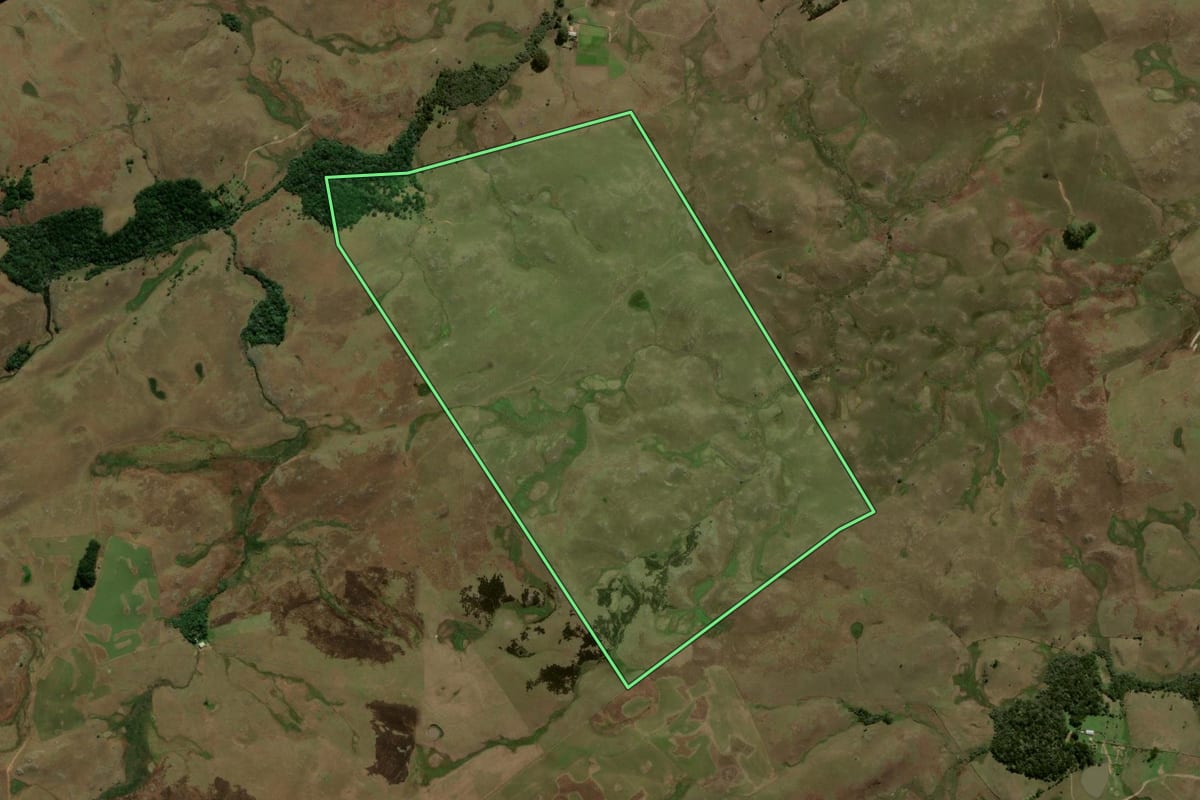 Imagem de satélite do imóvel rural em São Francisco de Paula (RS), com o contorno declarado no CAR desenhado por cima.