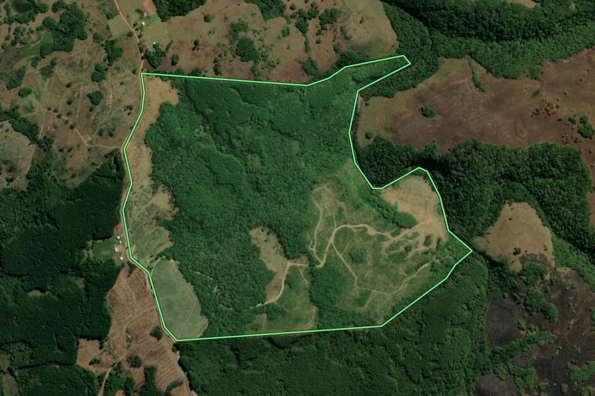 Imagem de satélite do imóvel rural em São Francisco de Paula (RS), com o contorno declarado no CAR desenhado por cima.