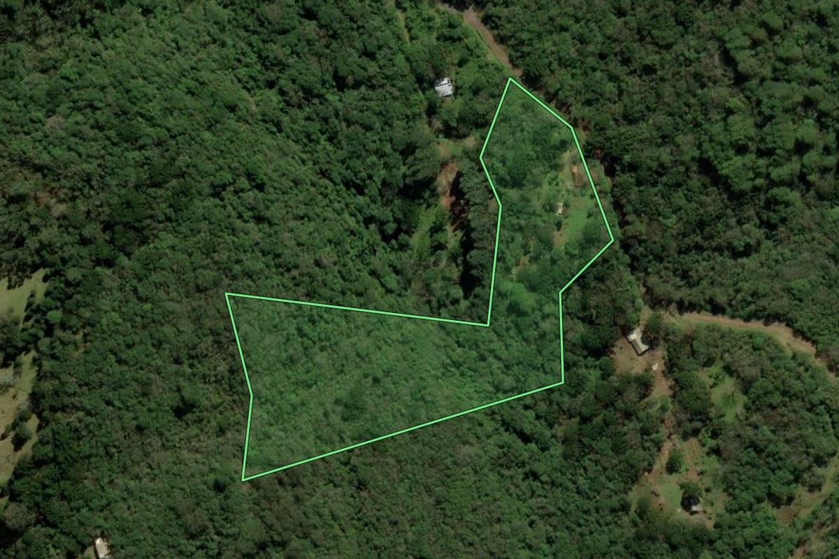 Imagem de satélite do imóvel rural em São Francisco de Paula (RS), com o contorno declarado no CAR desenhado por cima.