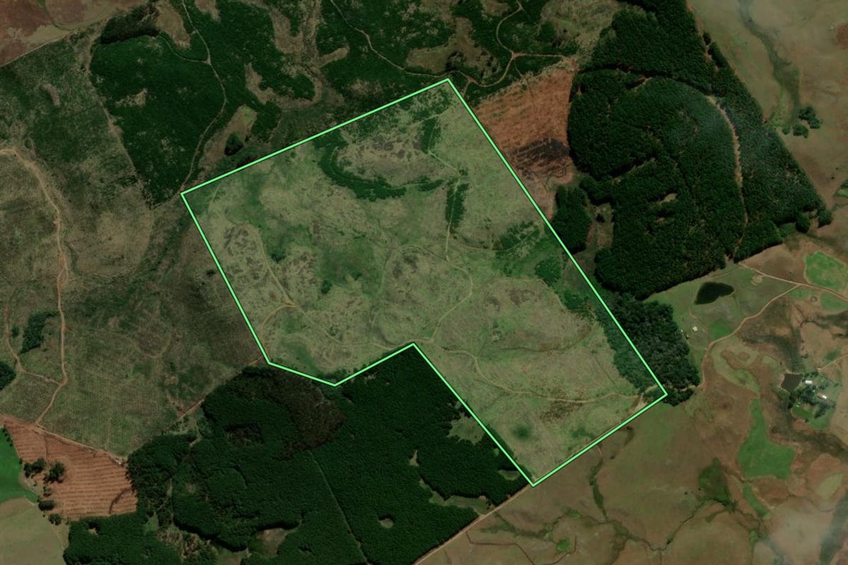 Imagem de satélite do imóvel rural em São Francisco de Paula (RS), com o contorno declarado no CAR desenhado por cima.