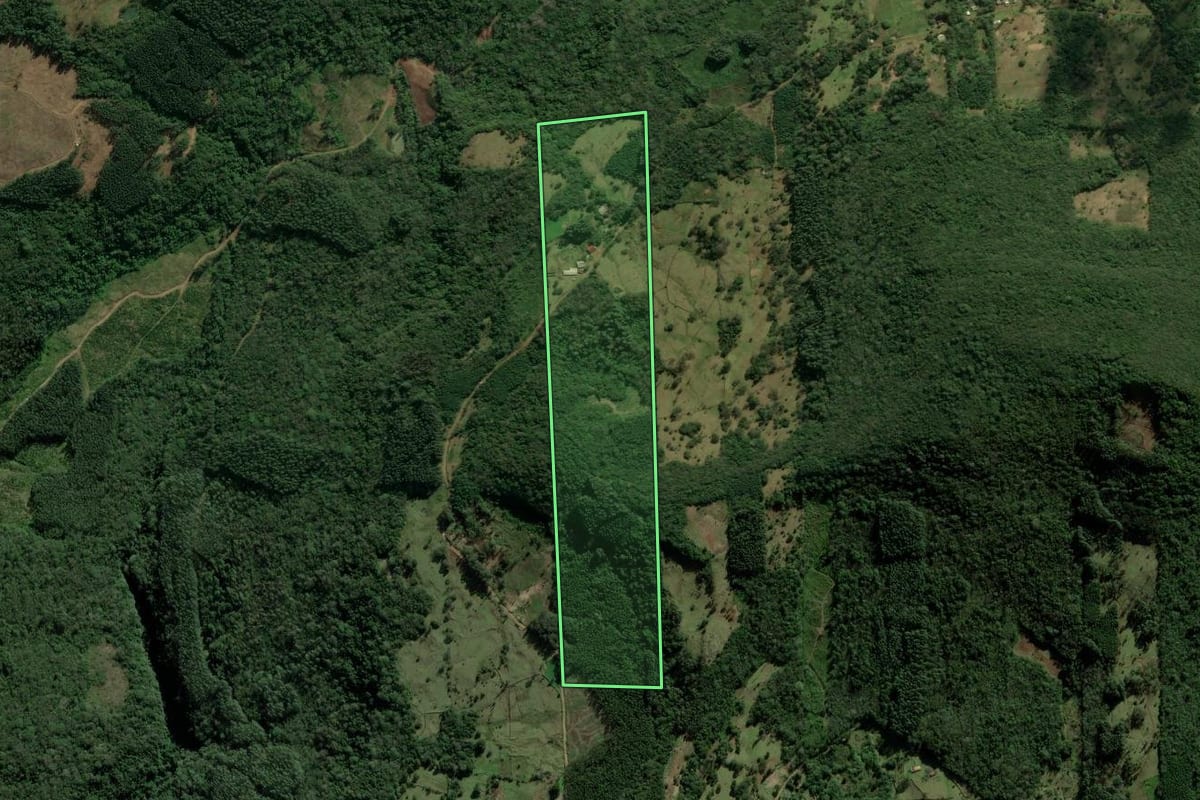 Imagem de satélite do imóvel rural em São Francisco de Paula (RS), com o contorno declarado no CAR desenhado por cima.
