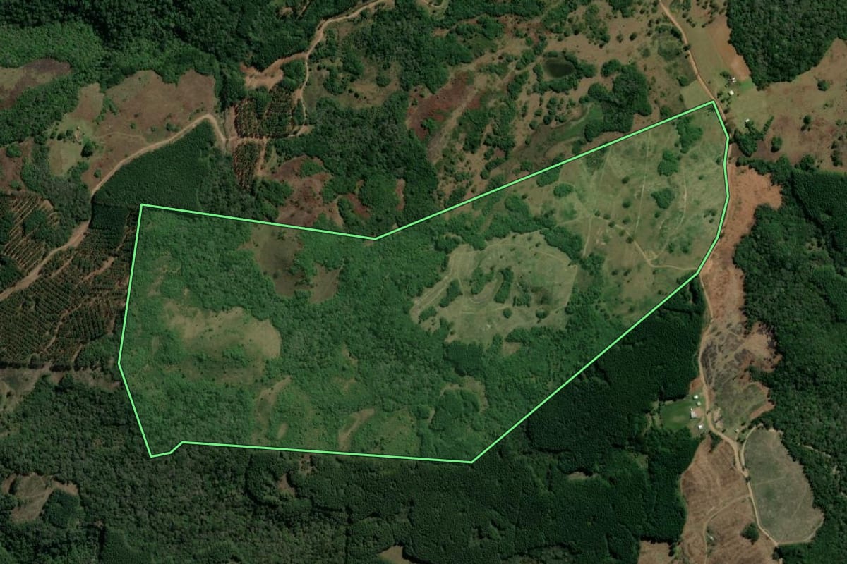 Imagem de satélite do imóvel rural em São Francisco de Paula (RS), com o contorno declarado no CAR desenhado por cima.