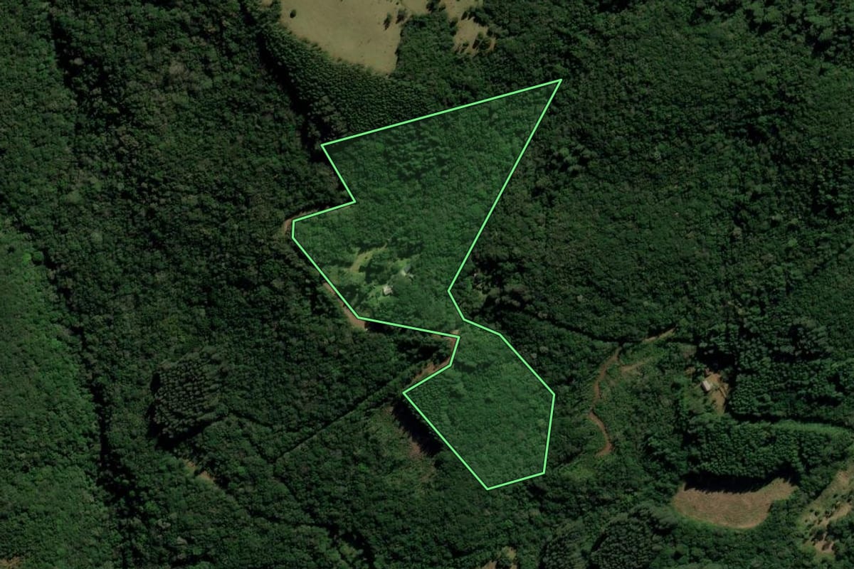 Imagem de satélite do imóvel rural em São Francisco de Paula (RS), com o contorno declarado no CAR desenhado por cima.