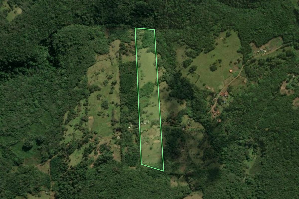 Imagem de satélite do imóvel rural em São Francisco de Paula (RS), com o contorno declarado no CAR desenhado por cima.
