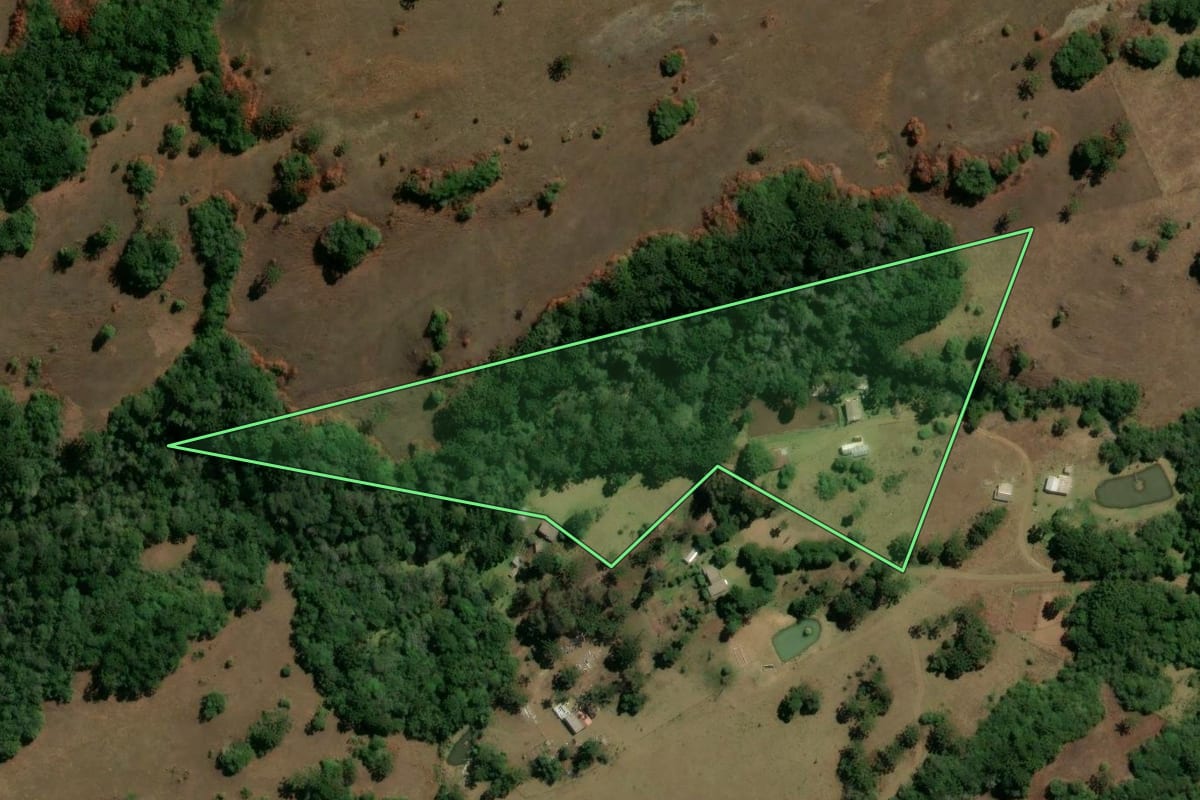Imagem de satélite do imóvel rural em São Francisco de Paula (RS), com o contorno declarado no CAR desenhado por cima.