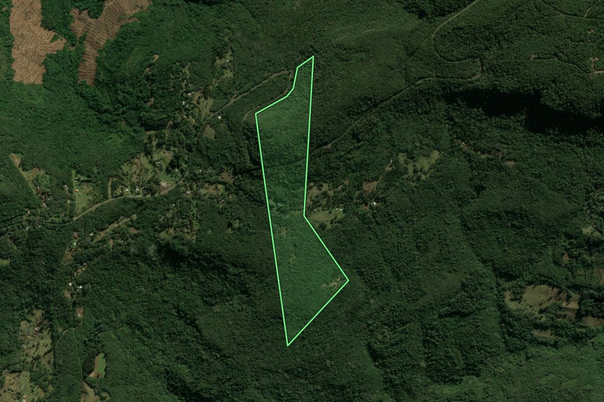 Imagem de satélite do imóvel rural em São Francisco de Paula (RS), com o contorno declarado no CAR desenhado por cima.