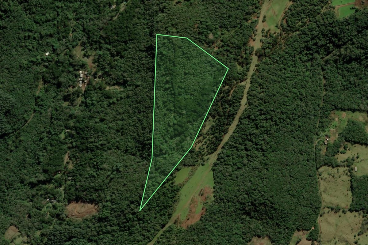 Imagem de satélite do imóvel rural em São Francisco de Paula (RS), com o contorno declarado no CAR desenhado por cima.