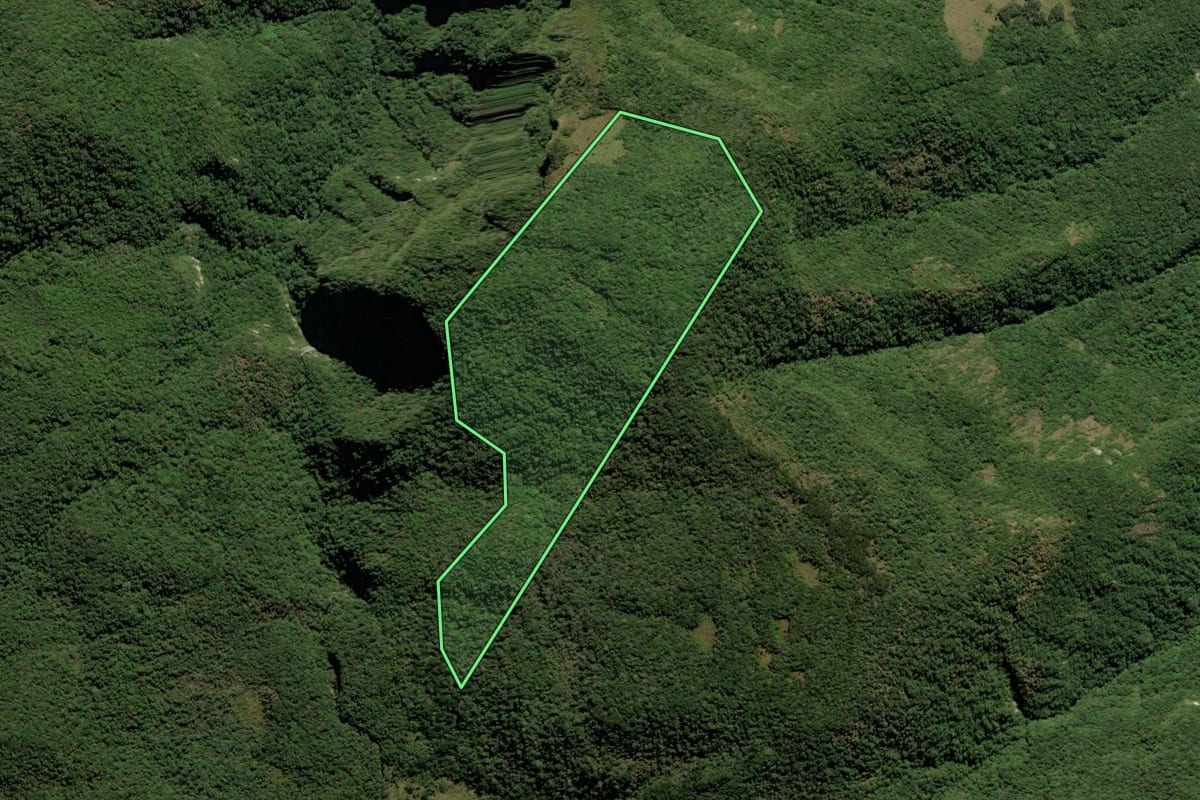 Imagem de satélite do imóvel rural em São Francisco de Paula (RS), com o contorno declarado no CAR desenhado por cima.
