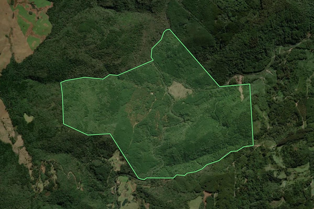 Imagem de satélite do imóvel rural em São Francisco de Paula (RS), com o contorno declarado no CAR desenhado por cima.