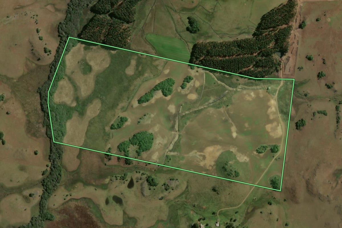 Imagem de satélite do imóvel rural em São Francisco de Paula (RS), com o contorno declarado no CAR desenhado por cima.
