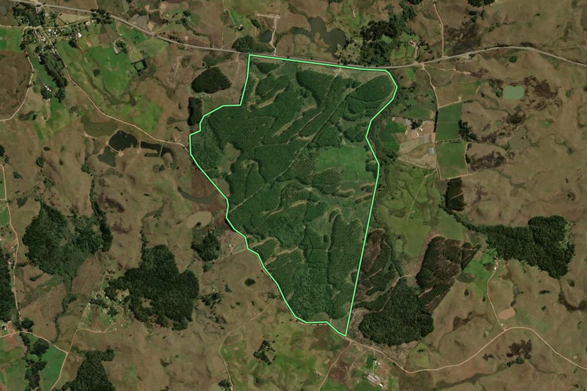 Imagem de satélite do imóvel rural em São Francisco de Paula (RS), com o contorno declarado no CAR desenhado por cima.