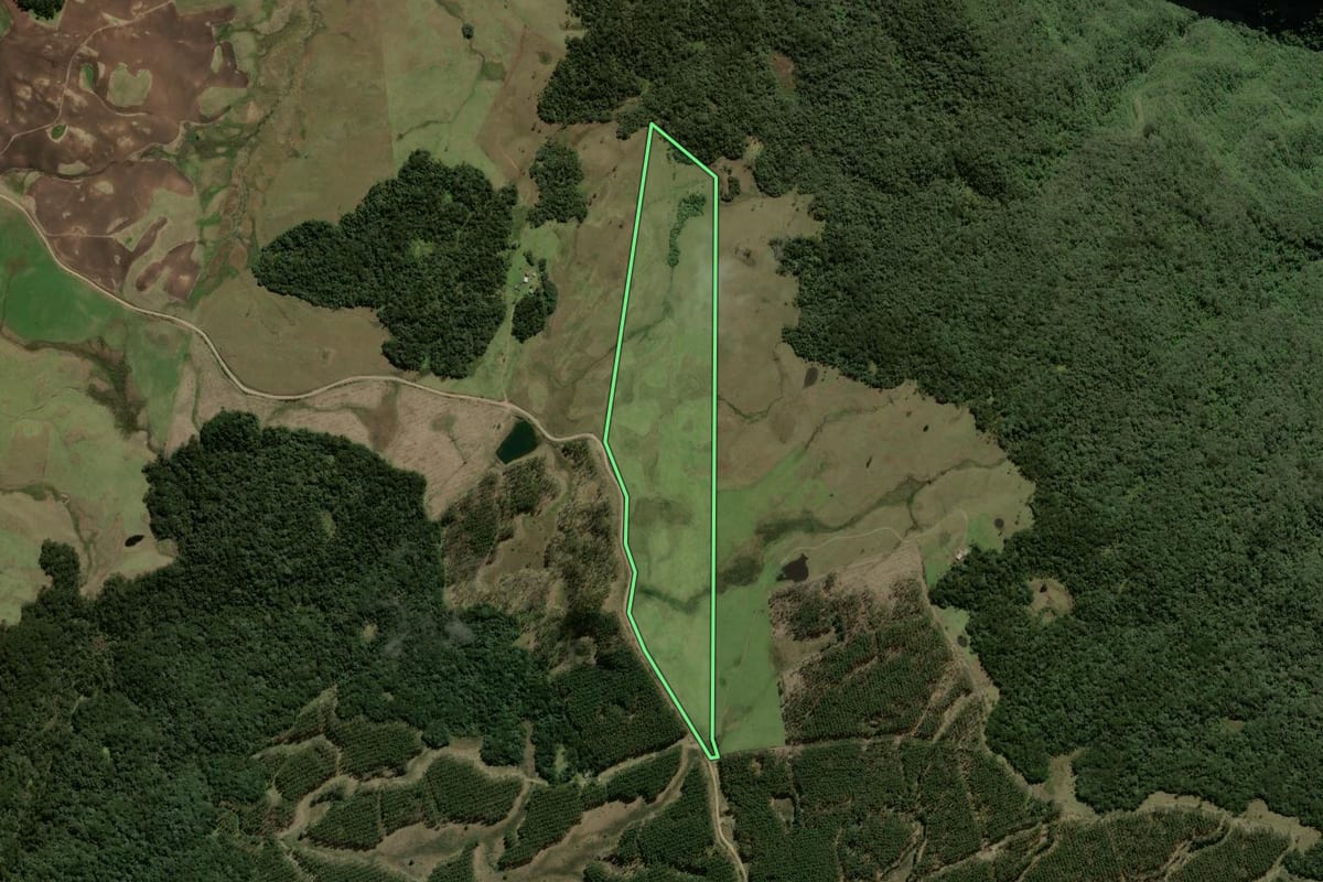Imagem de satélite do imóvel rural em São Francisco de Paula (RS), com o contorno declarado no CAR desenhado por cima.