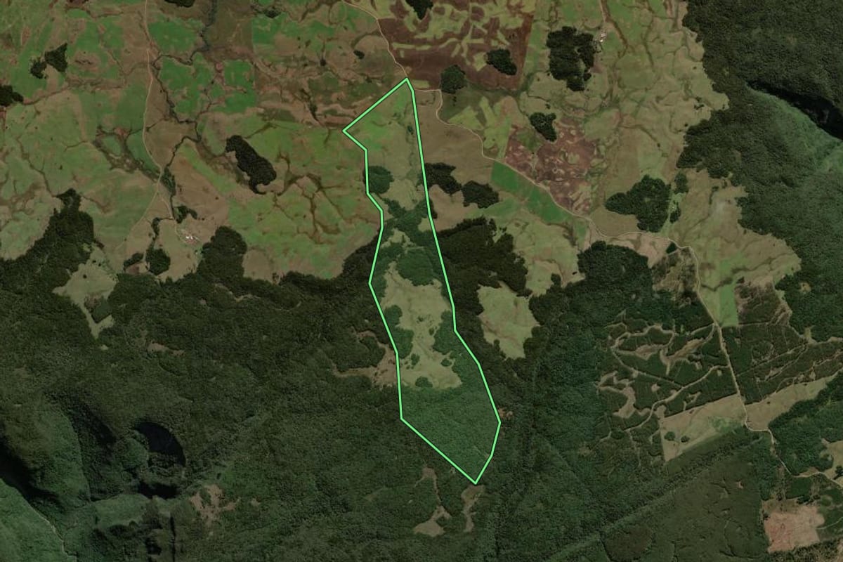 Imagem de satélite do imóvel rural em São Francisco de Paula (RS), com o contorno declarado no CAR desenhado por cima.