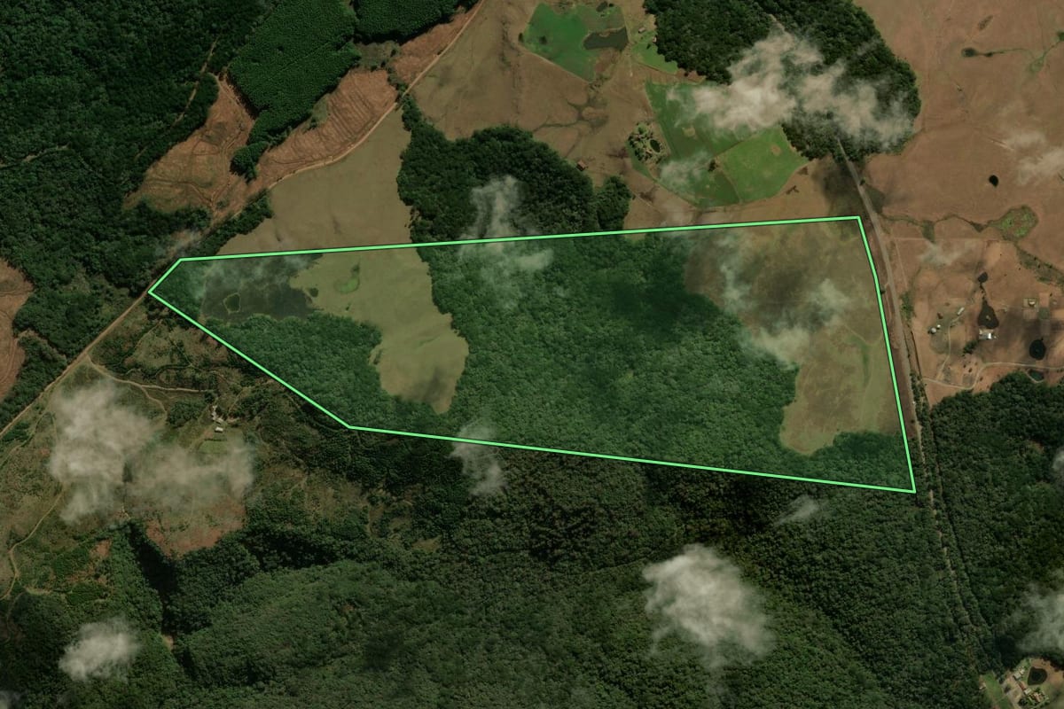 Imagem de satélite do imóvel rural em São Francisco de Paula (RS), com o contorno declarado no CAR desenhado por cima.