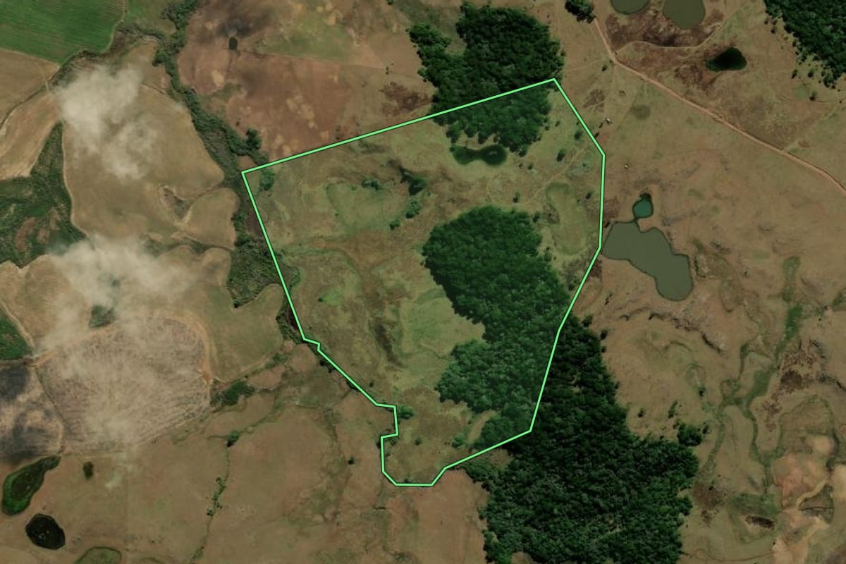 Imagem de satélite do imóvel rural em São Francisco de Paula (RS), com o contorno declarado no CAR desenhado por cima.