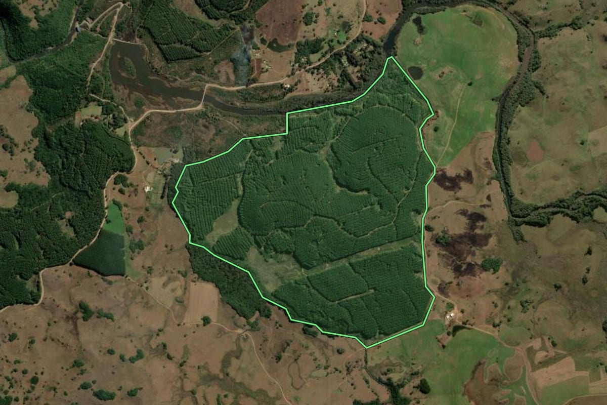 Imagem de satélite do imóvel rural em São Francisco de Paula (RS), com o contorno declarado no CAR desenhado por cima.