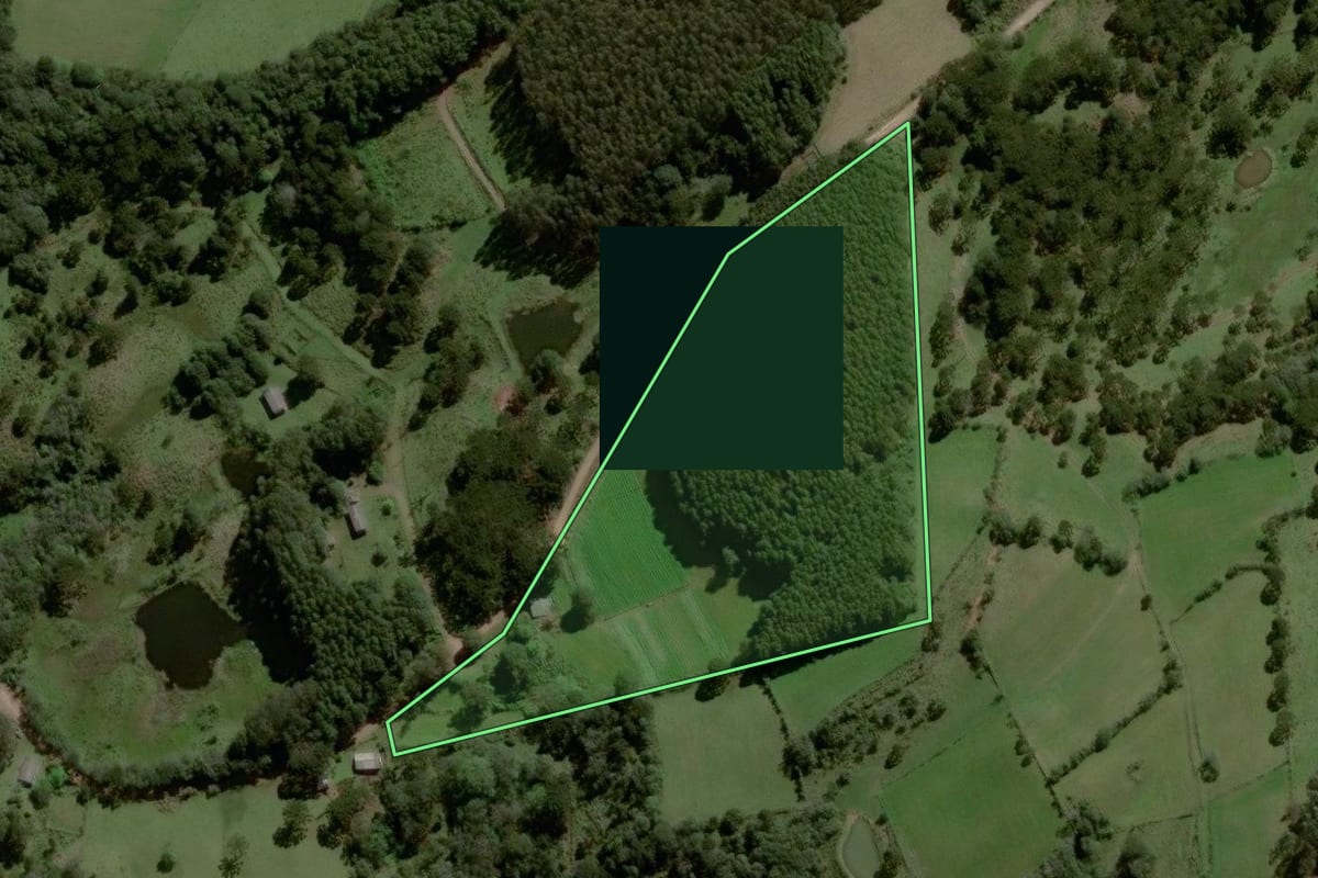 Imagem de satélite do imóvel rural em São Francisco de Paula (RS), com o contorno declarado no CAR desenhado por cima.