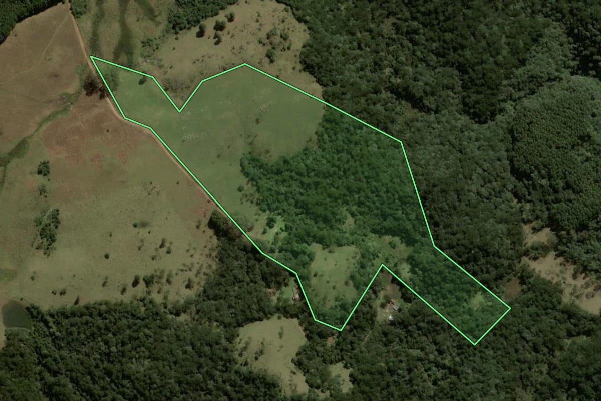 Imagem de satélite do imóvel rural em São Francisco de Paula (RS), com o contorno declarado no CAR desenhado por cima.