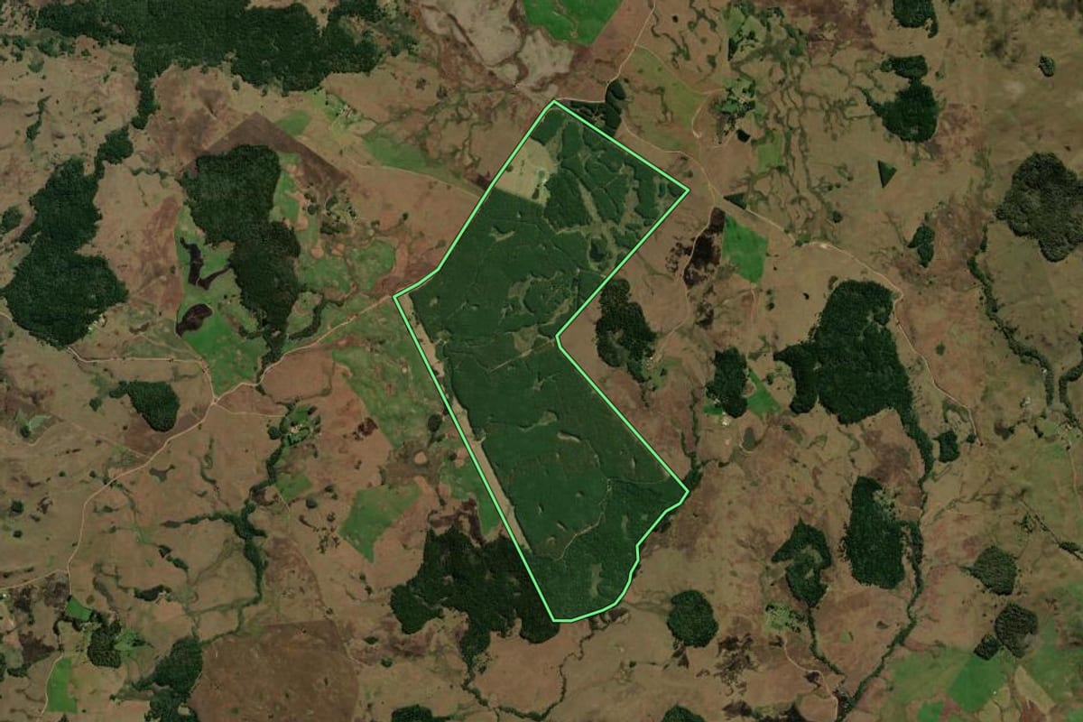 Imagem de satélite do imóvel rural em São Francisco de Paula (RS), com o contorno declarado no CAR desenhado por cima.